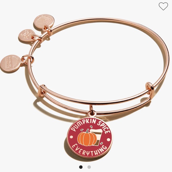 Alex and Ani Jewelry - SALE! NWT, Alex & Ani, Pumpkin Spice Charm, Expandable Bracelet
